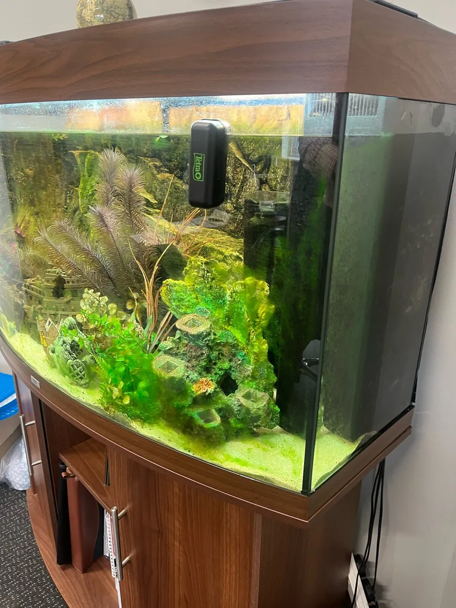 Aquarium for sale - Image 2