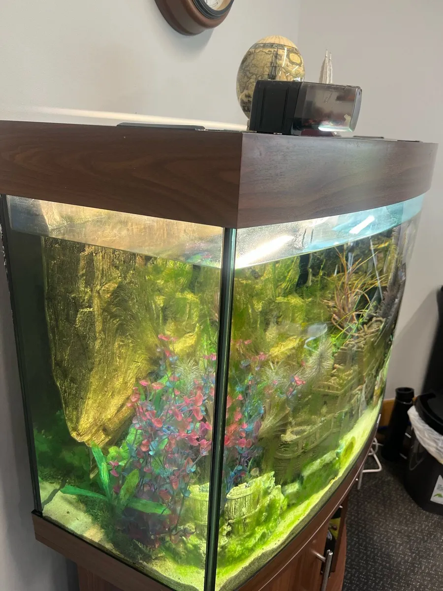 Aquarium for sale - Image 3