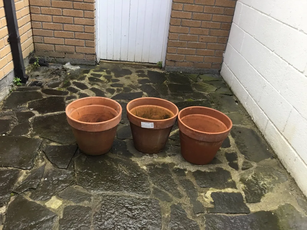 Ceramic Flower pots