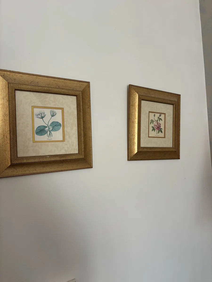 Twin frames