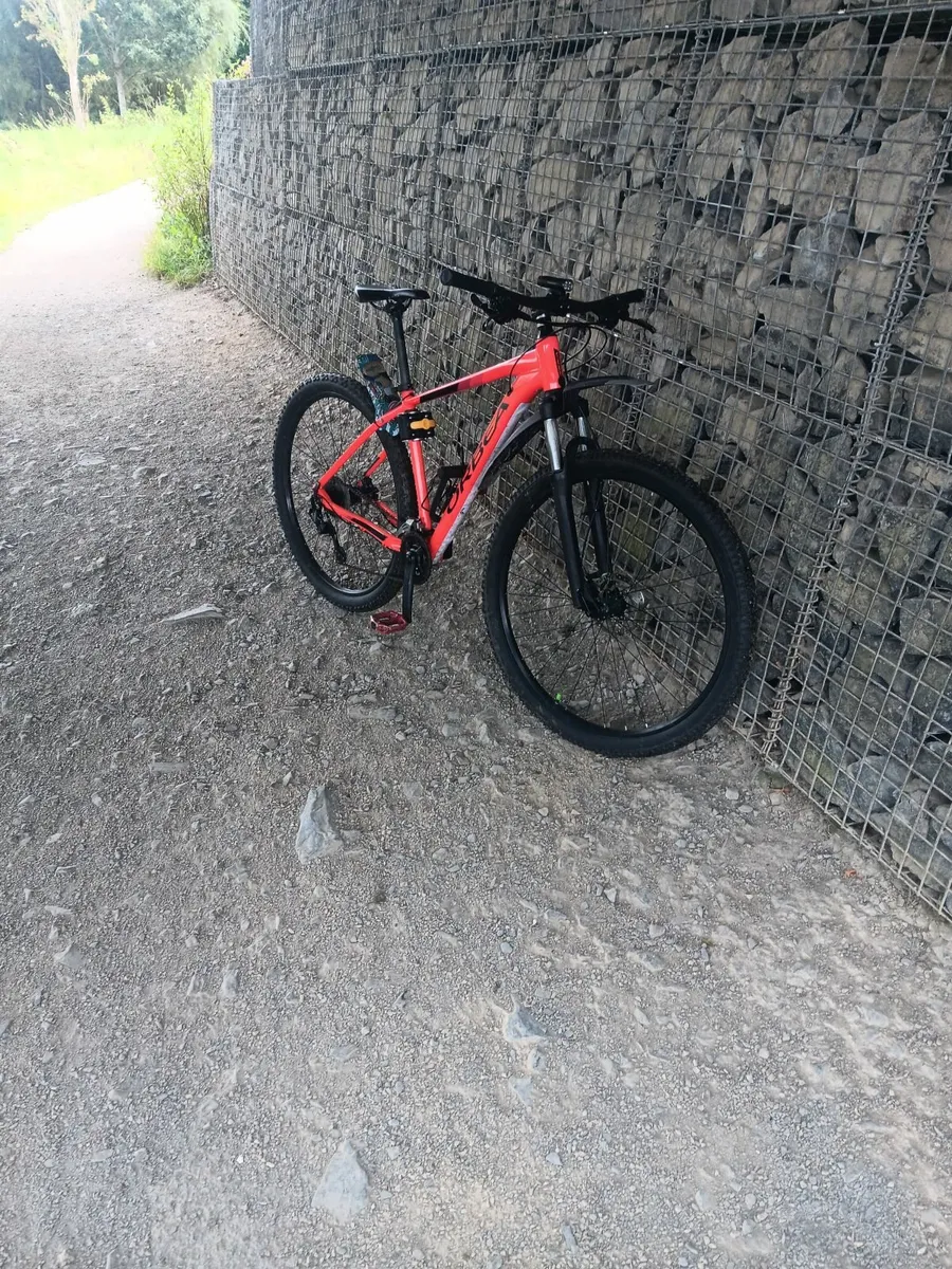Orbea mx 40 29 inch - Image 3