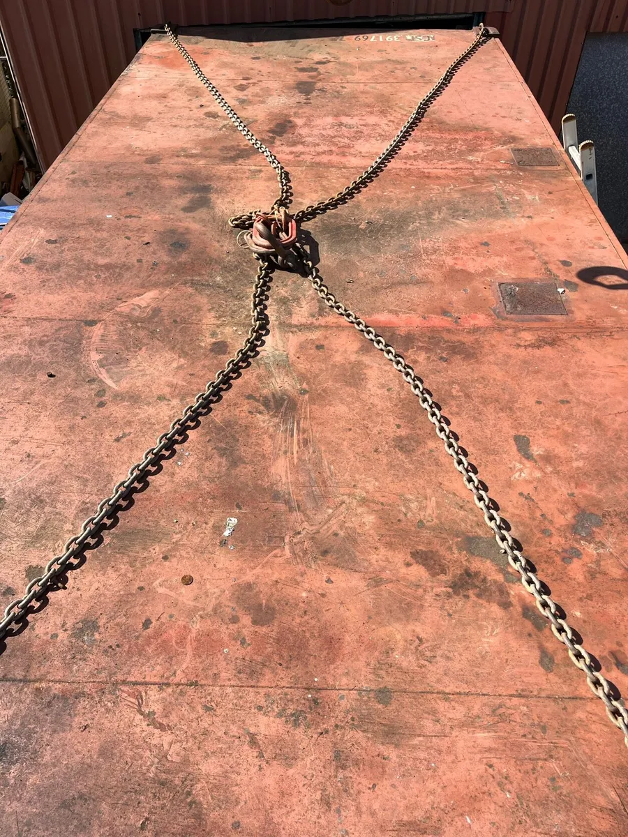 20 foot Container can be delivered - Image 4
