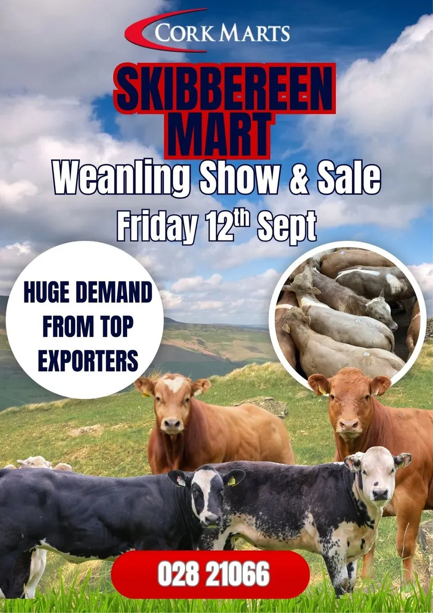 Show & Sale Frida12th of SeptemberSkibbereen Mart - Image 1