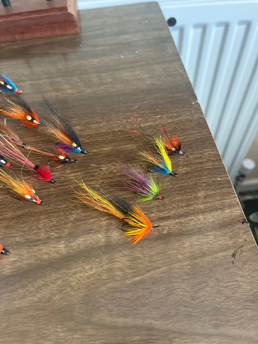 Salmon flys - Image 1