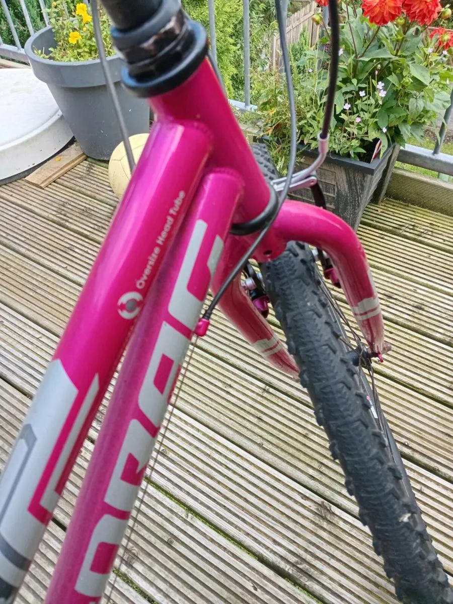 Bike - Image 4