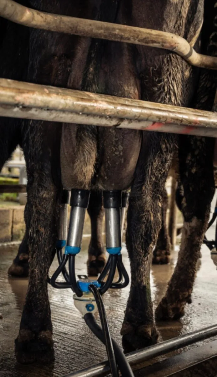 Relief milker available