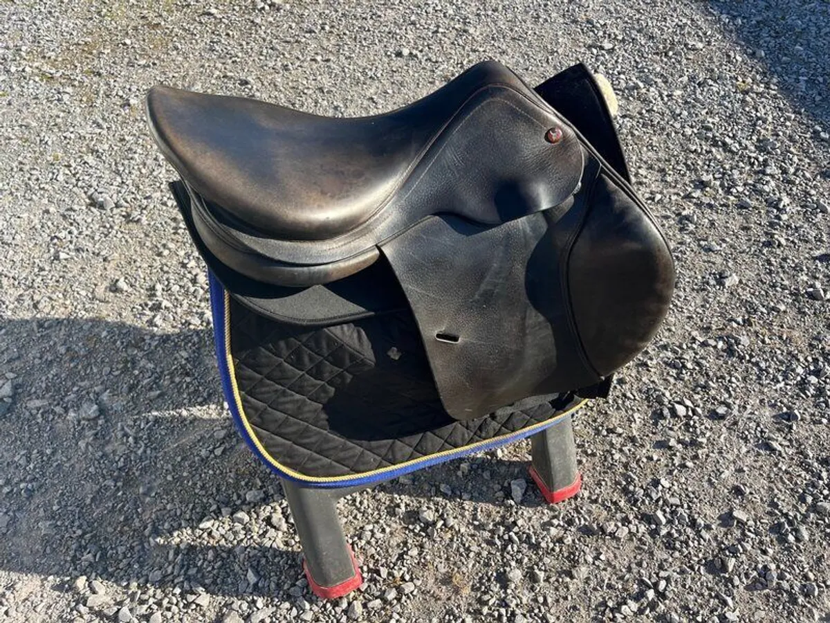 Saddle in Equestrian - Image 1