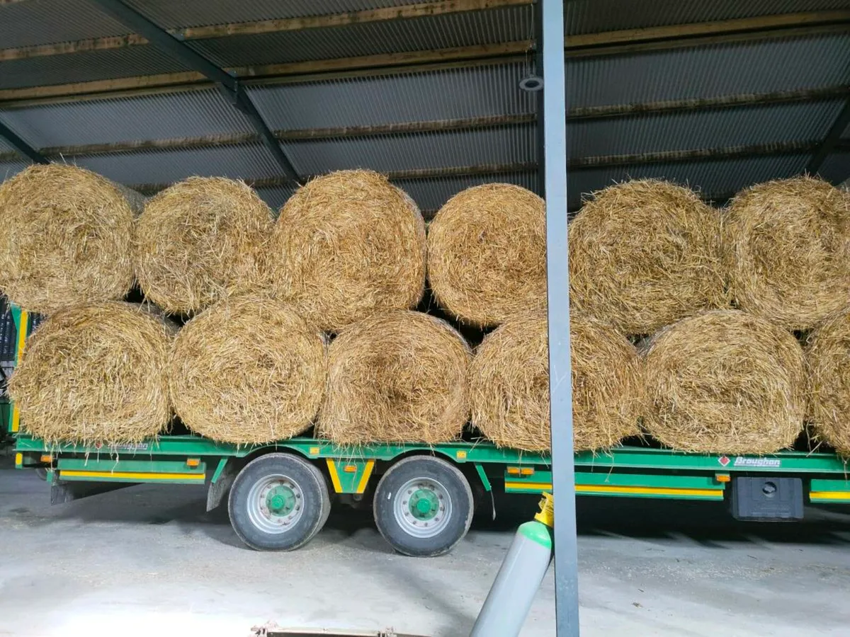 Straw