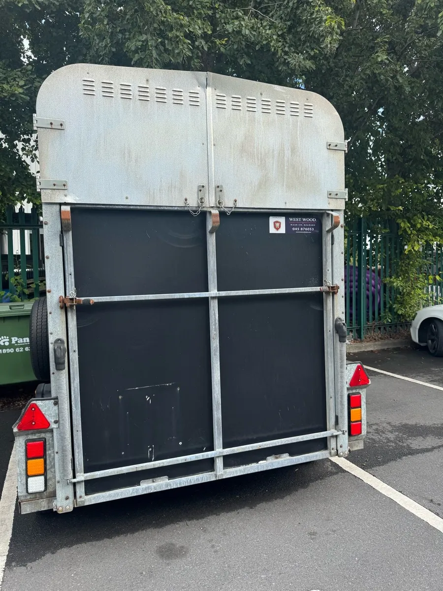 Ifor Williams HB505 Horsebox - Steel floor - Image 2