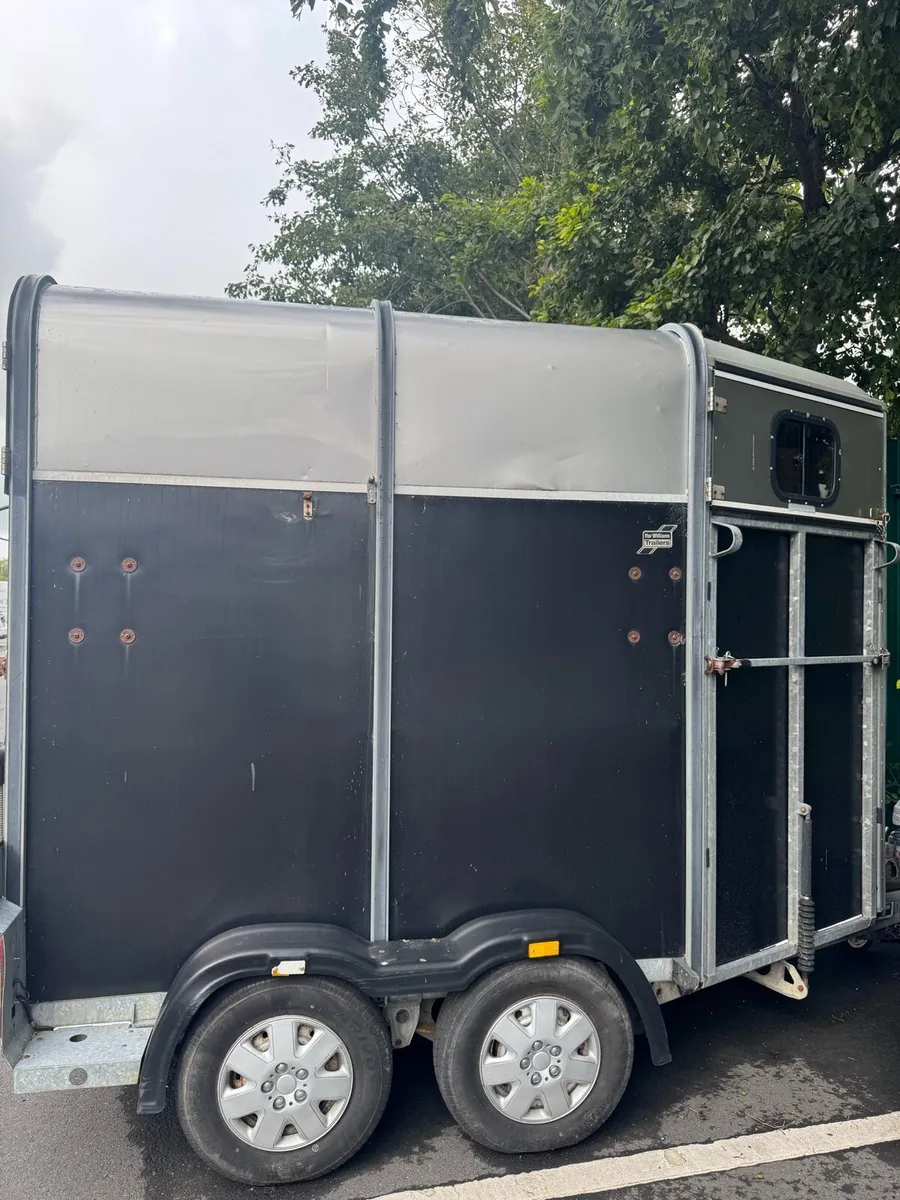 Ifor Williams HB505 Horsebox - Steel floor - Image 3