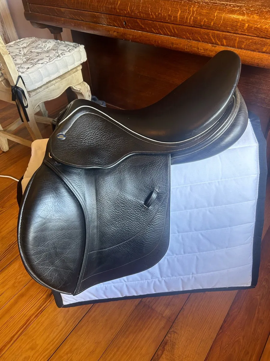 Whitaker saddle - Image 1