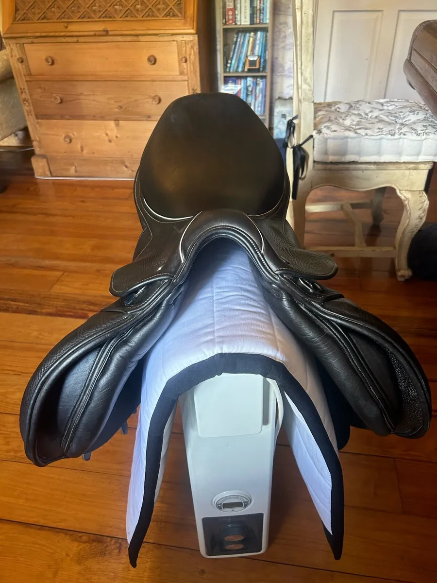 Whitaker saddle - Image 2