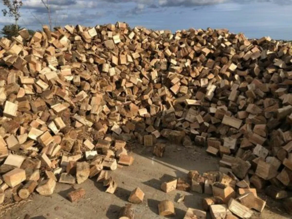 Firewood - Image 3