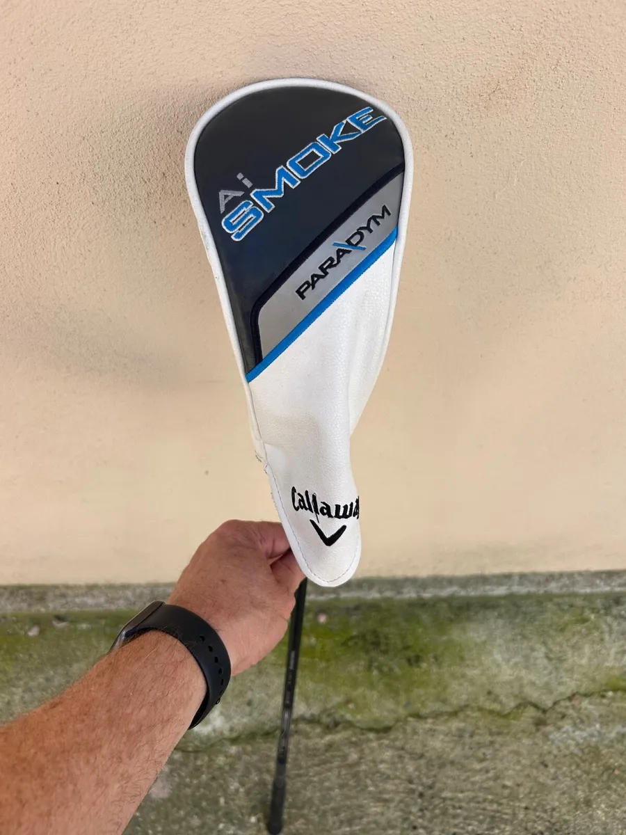 Golf club - Image 1