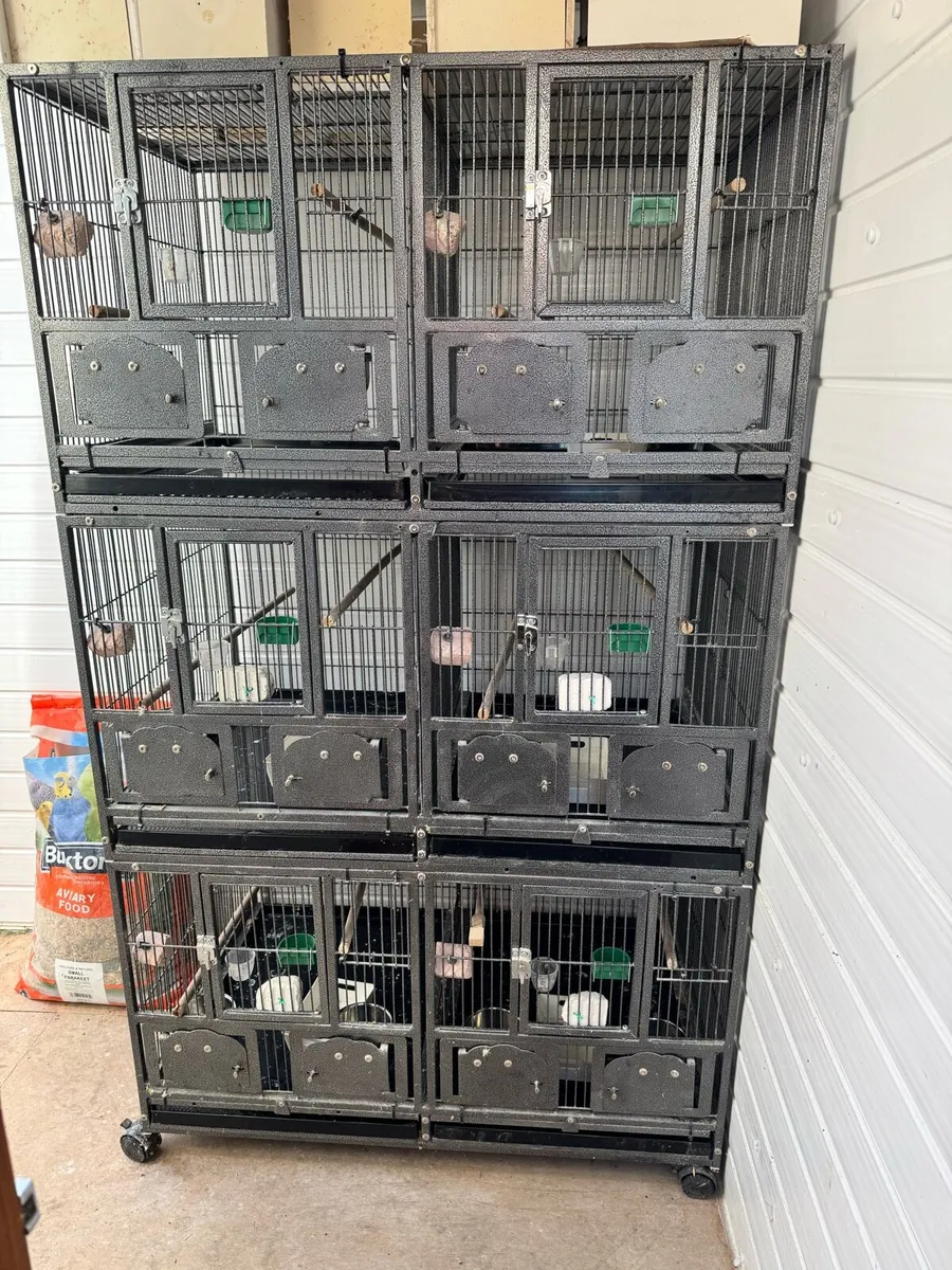 Breeding cages - Image 1