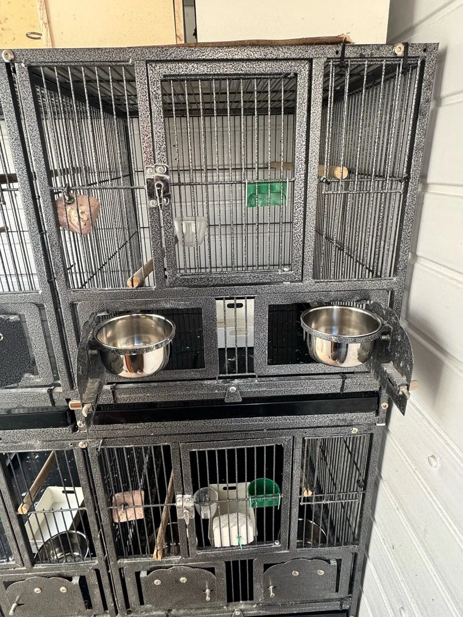 Breeding cages - Image 3