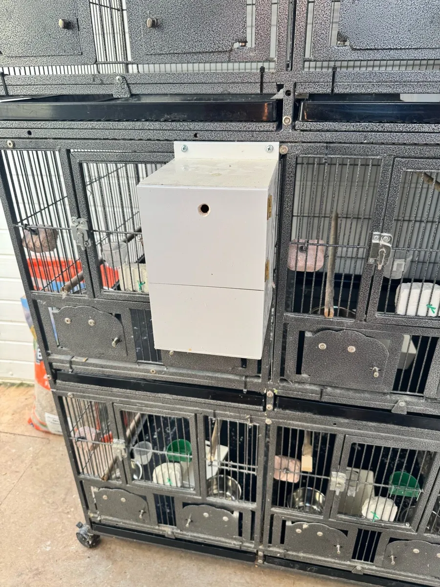 Breeding cages - Image 4