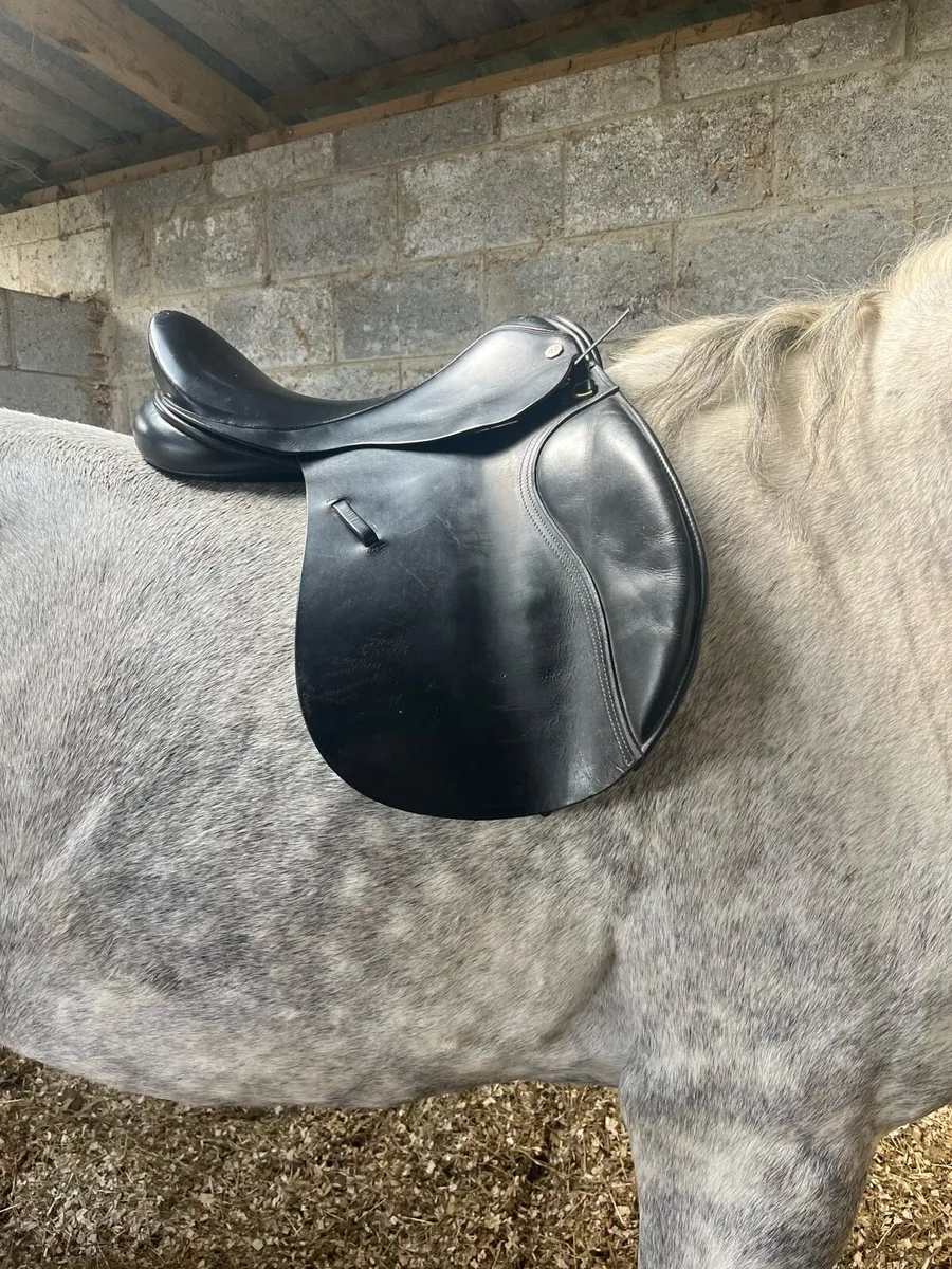 17” Barnsby Saddle - Image 2