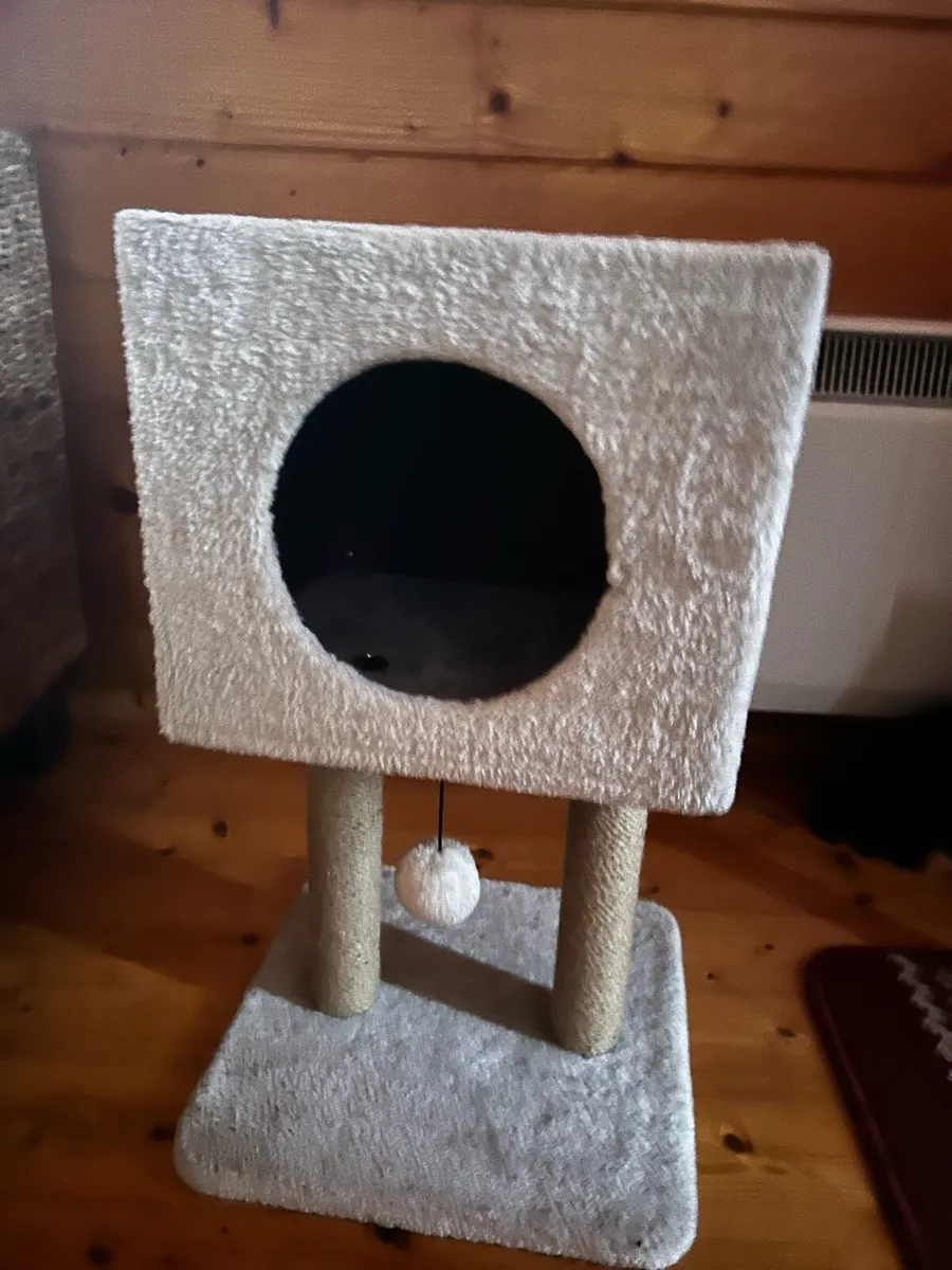 Kitten play box - Image 1