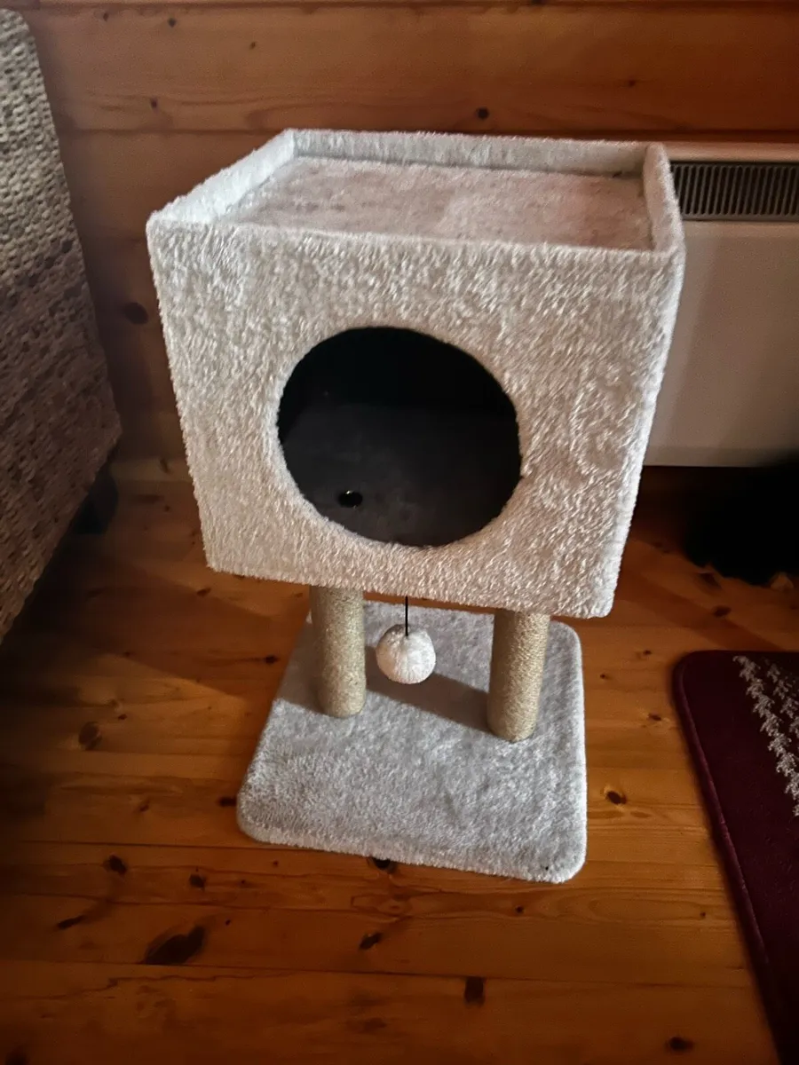 Kitten play box - Image 2