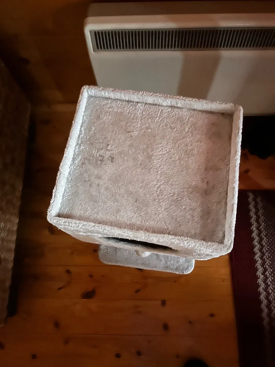 Kitten play box - Image 3