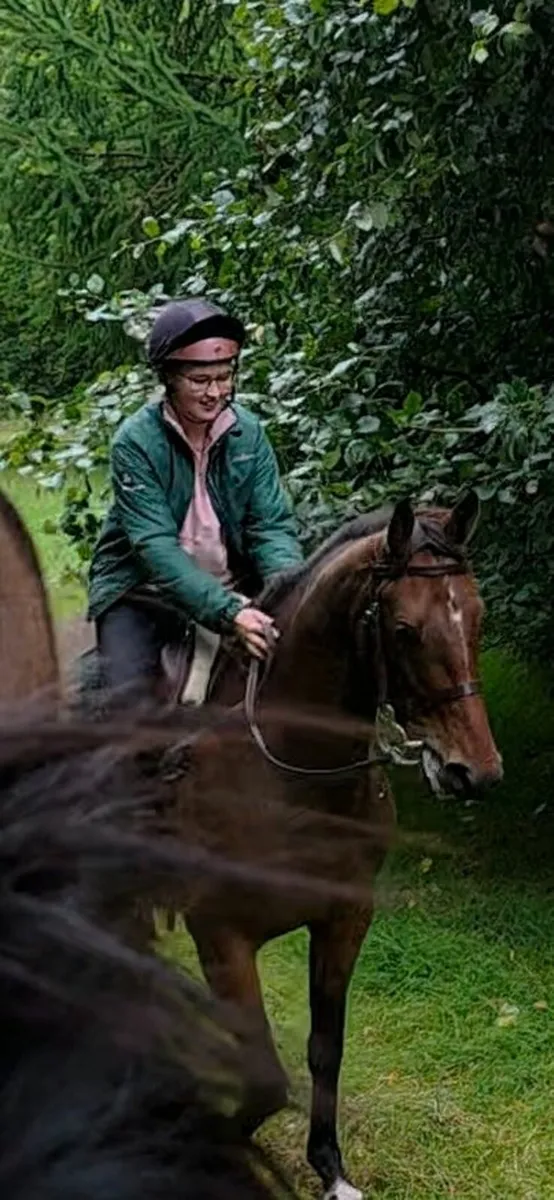 Horse - Image 3