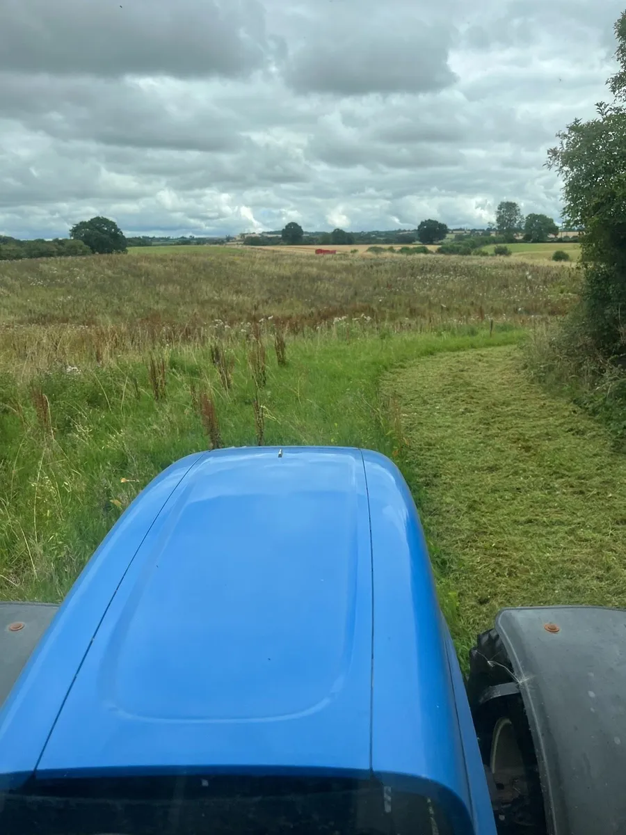 Mulching/Topping Service - Carlow & Surrounding - Image 2