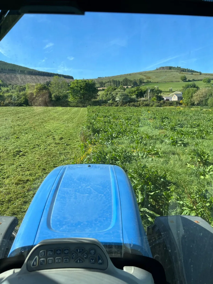 Mulching/Topping Service - Carlow & Surrounding - Image 3