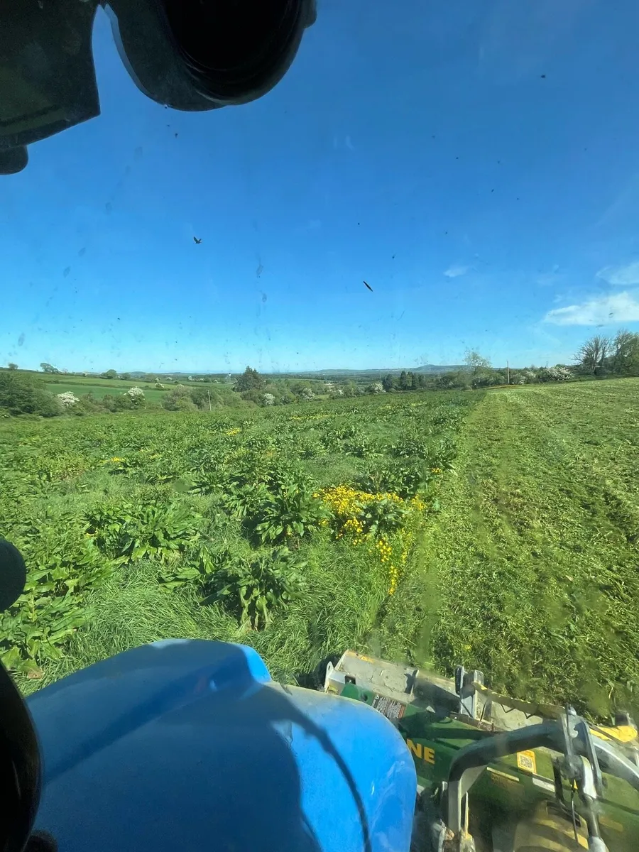 Mulching/Topping Service - Carlow & Surrounding - Image 4