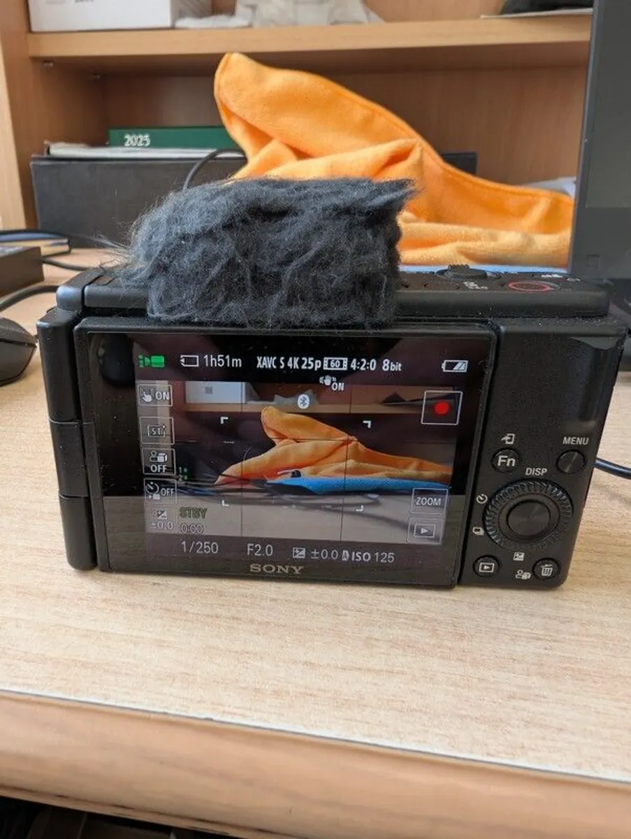 Sony Zv1f - Image 3
