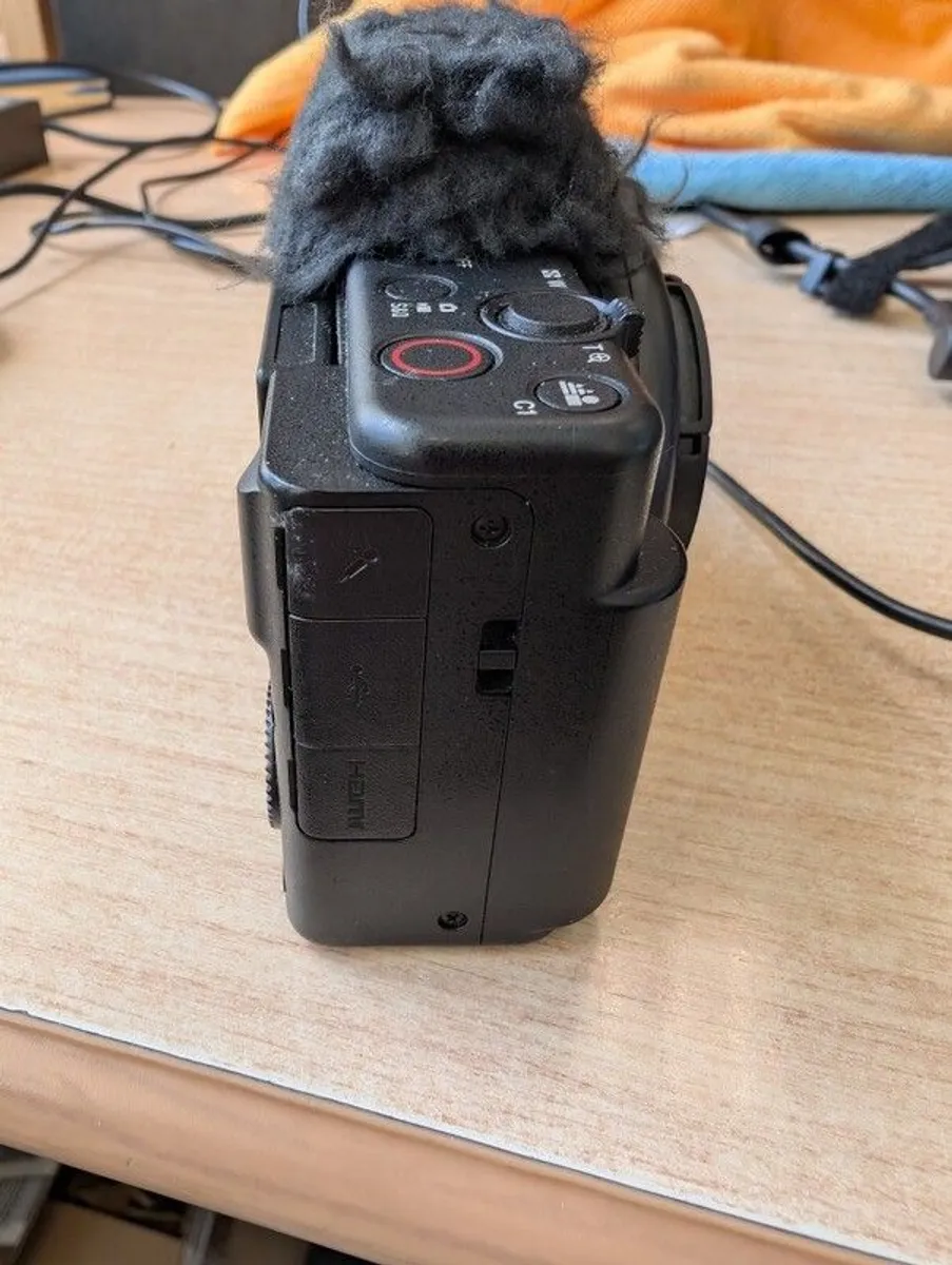 Sony Zv1f - Image 4