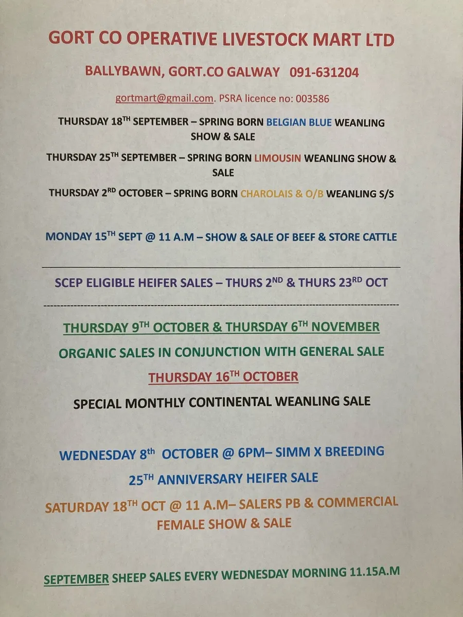 Gort Mart: Spring born Weanling Show/ Sales
