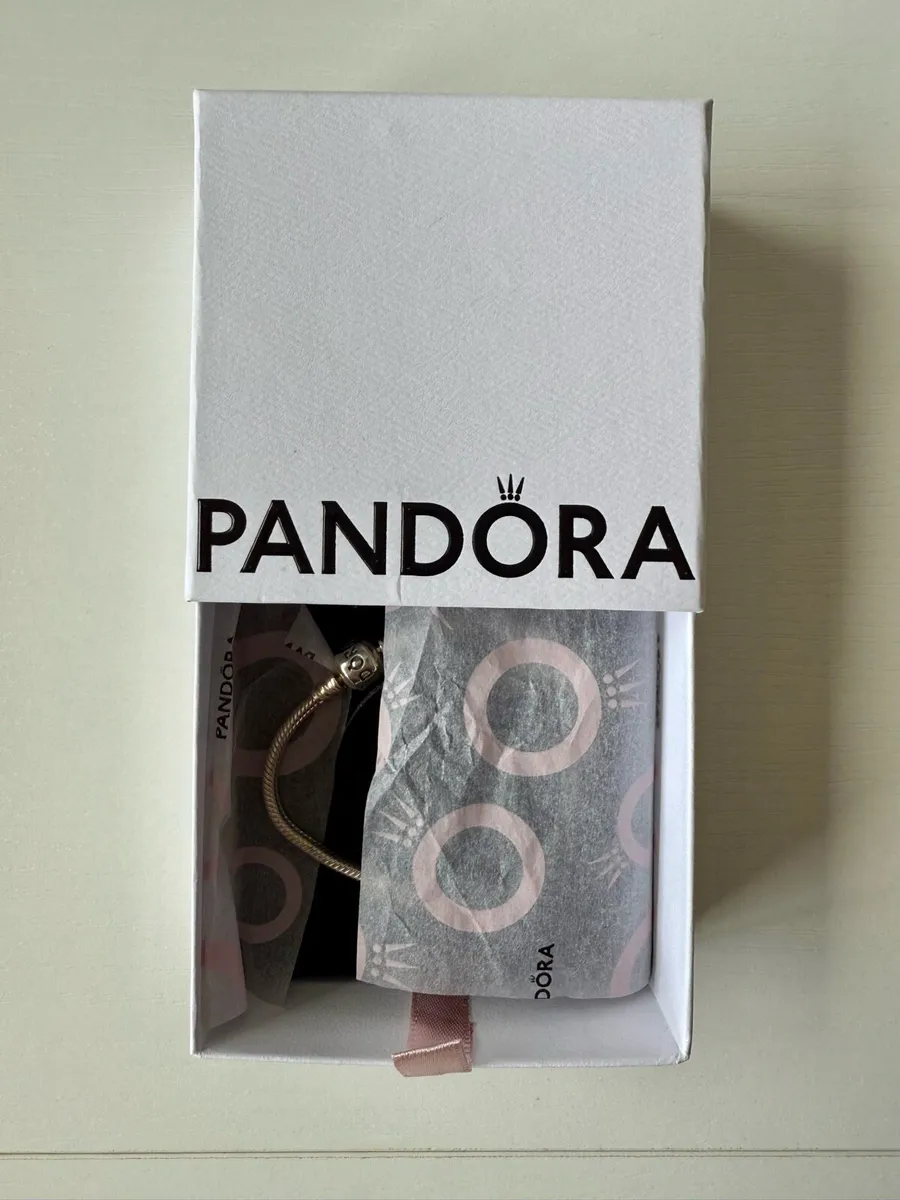 Brand new Pandora Moments Snake Bracelet + charm - Image 1