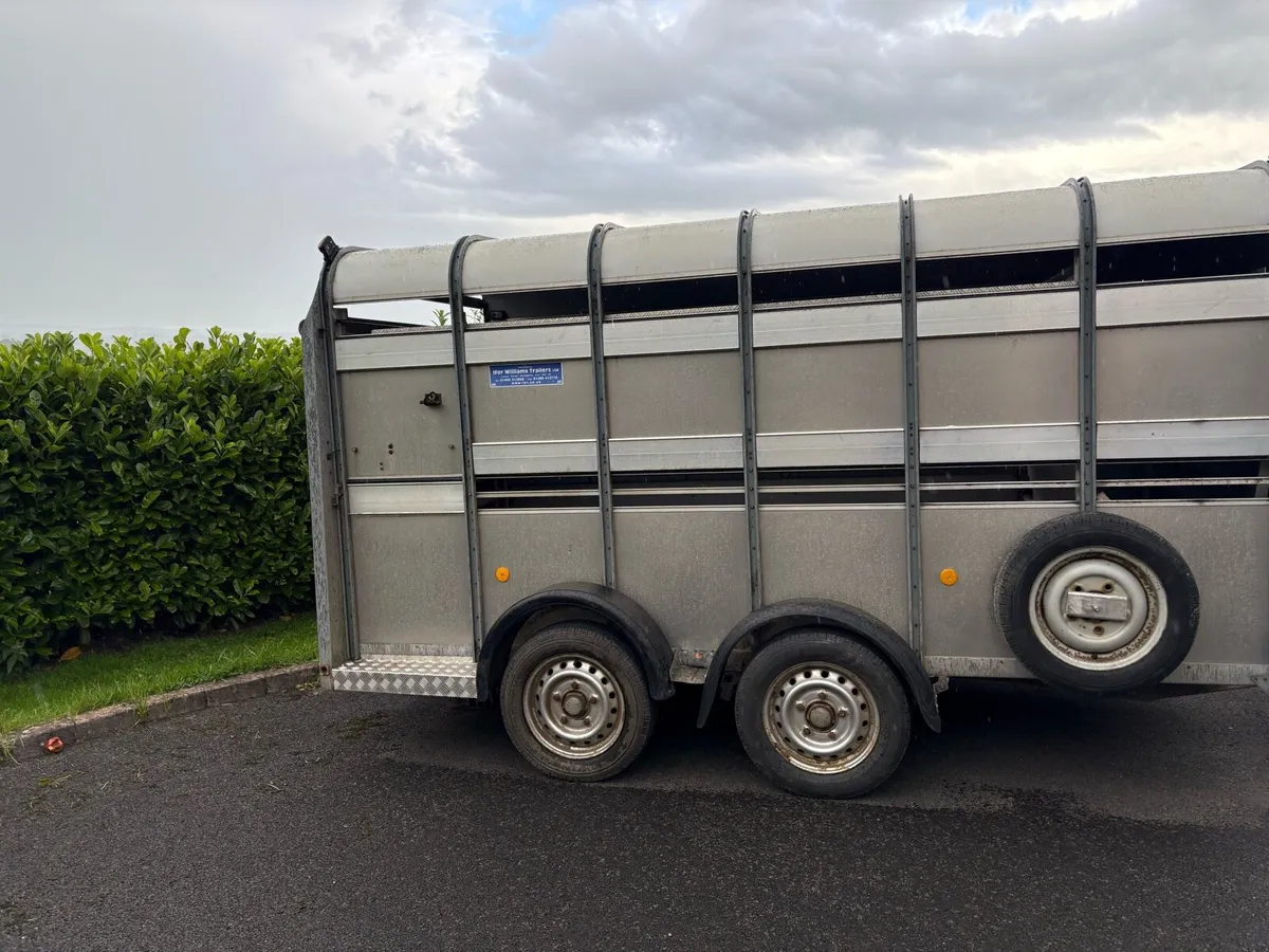 Cattle trailer - Image 2