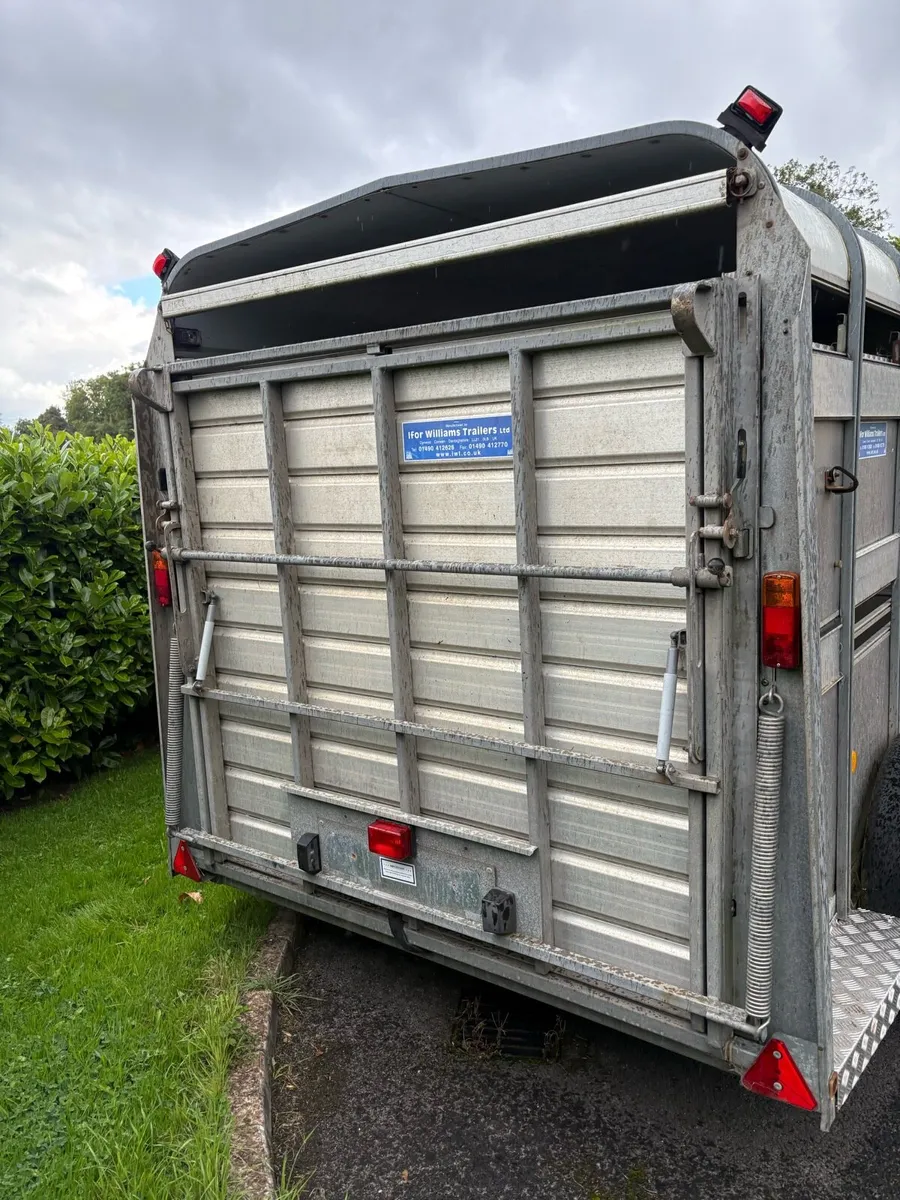 Cattle trailer - Image 4