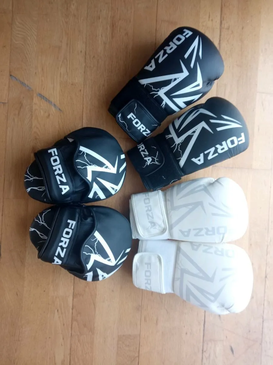 14oz Boxing Gloves set 🥊 - Image 1