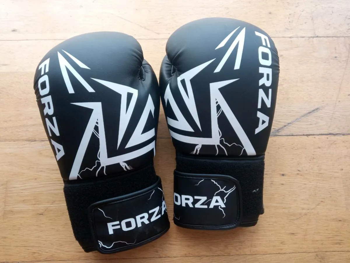 14oz Boxing Gloves set 🥊 - Image 4