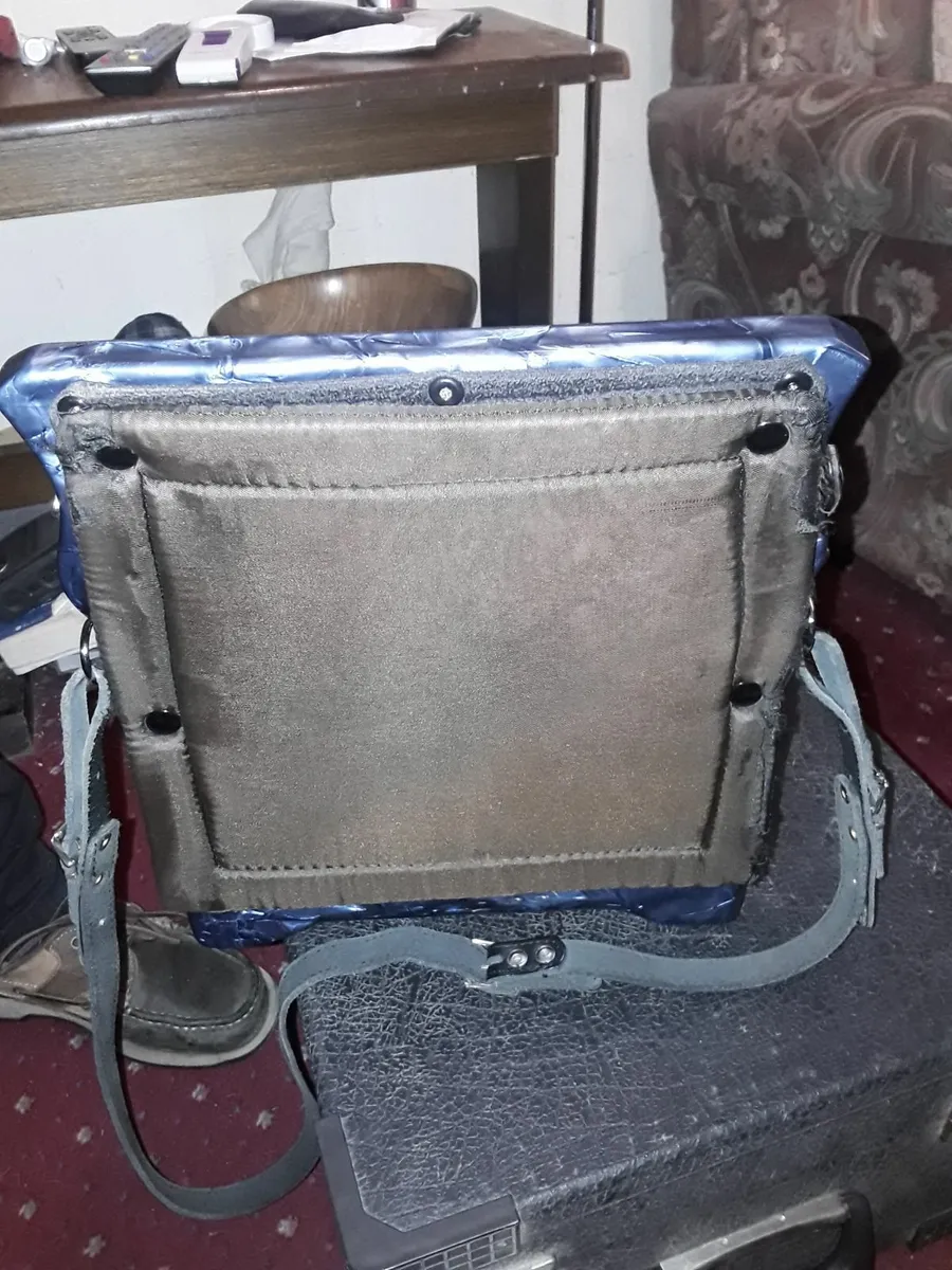 Accordion - Image 2