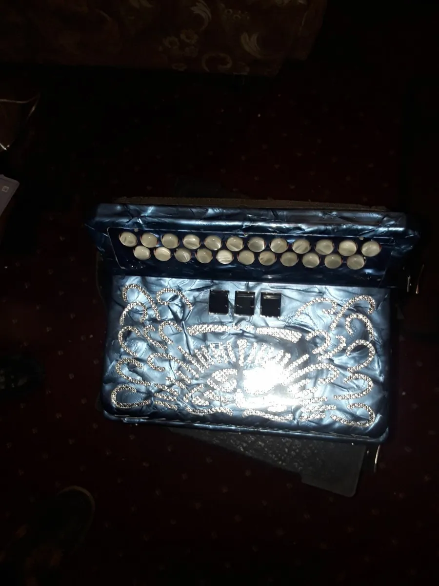 Accordion - Image 3