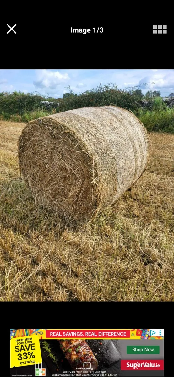 Organic barley/pea straw