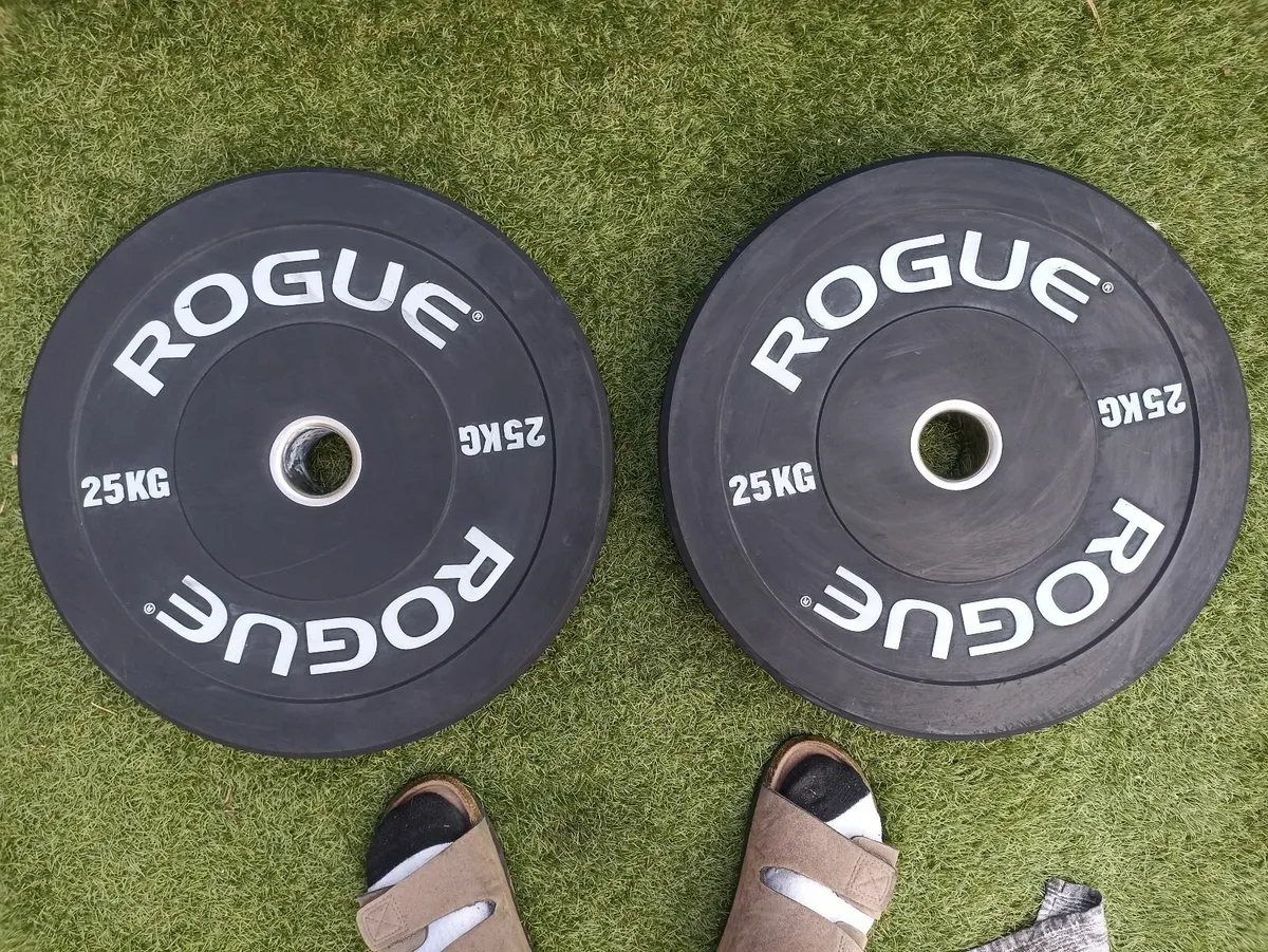 Rogue Bumper Plates - Image 3