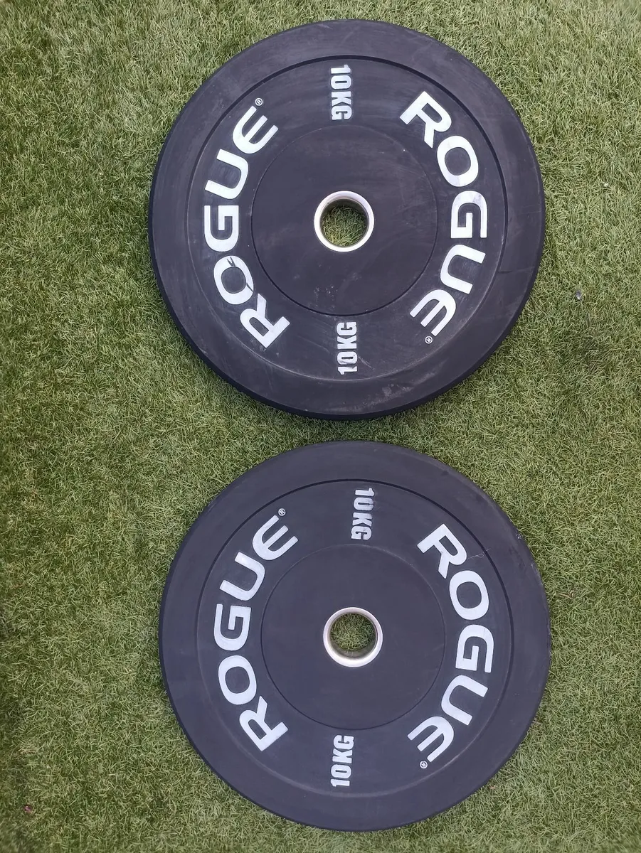 Rogue Bumper Plates - Image 4