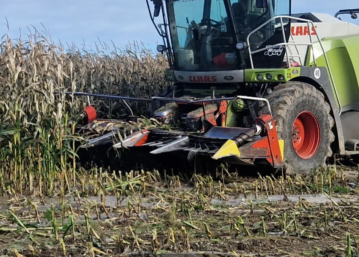 Kemper maize head - Image 1
