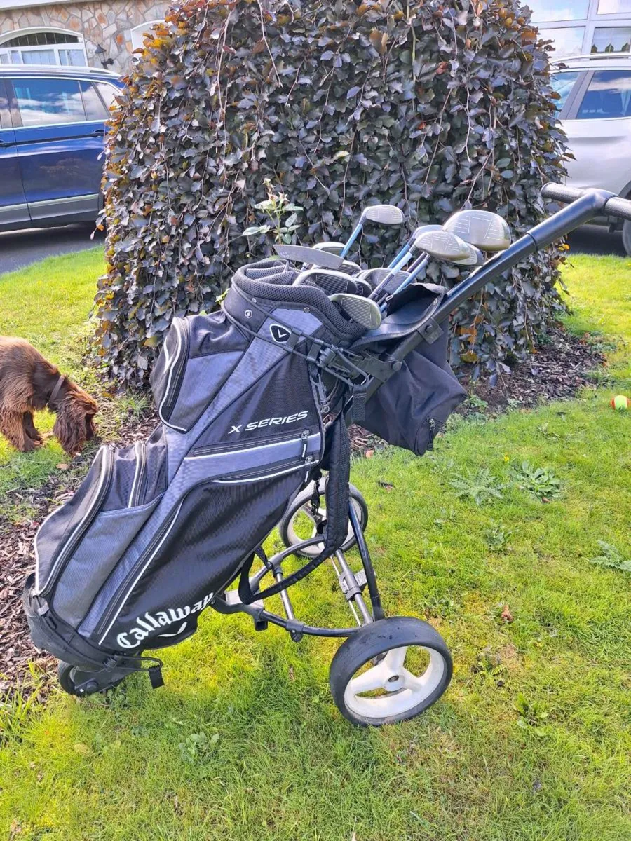 Golf clubs, Ladies, Full set, bag and trolley - Image 1