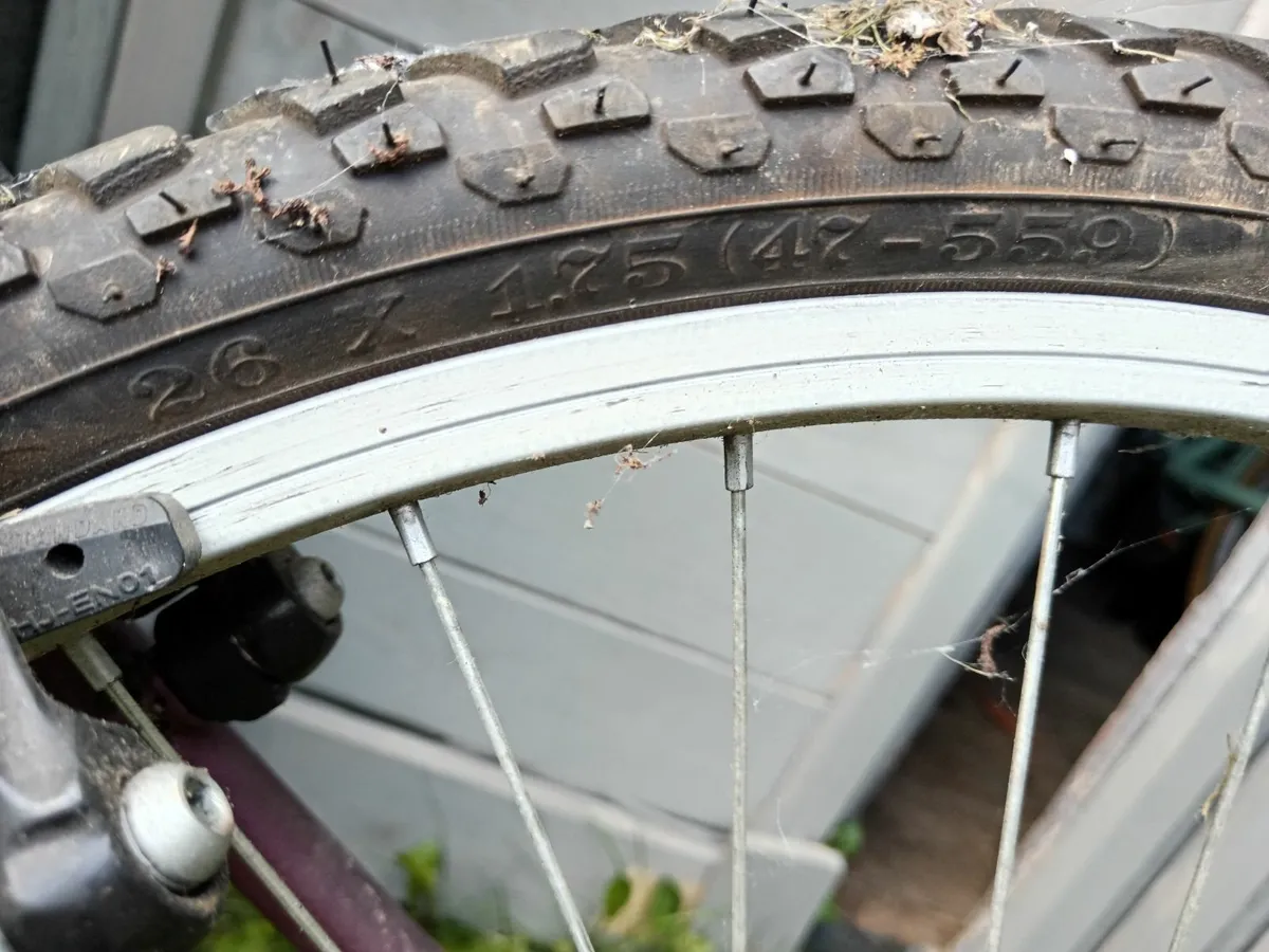 Bike - Image 2