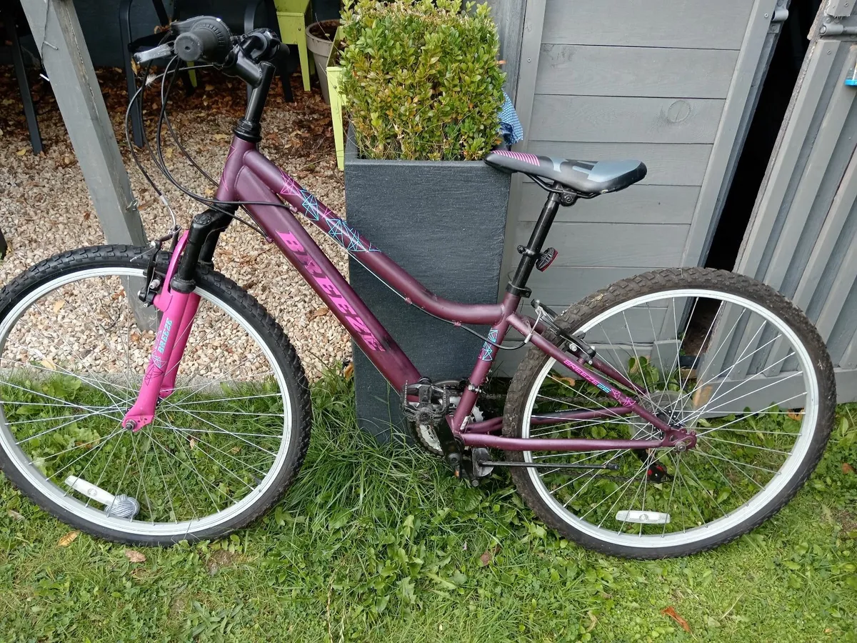 Bike - Image 1