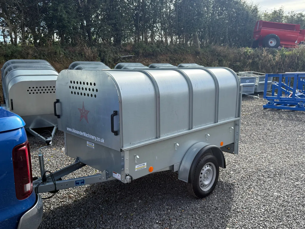 YOUNGSTOCK TRAILER 7x4 NEW - Image 1