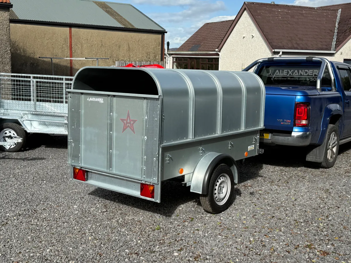 YOUNGSTOCK TRAILER 7x4 NEW - Image 3