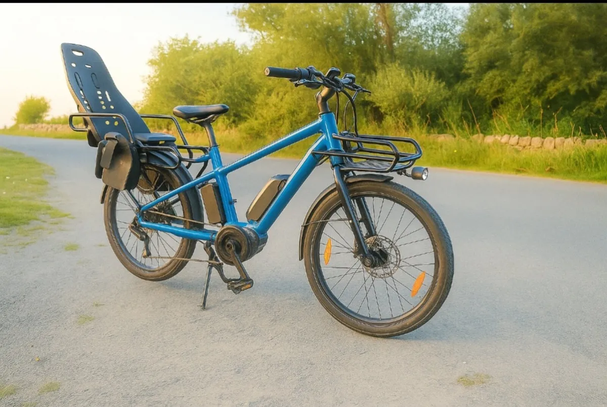 Ebike - Image 1