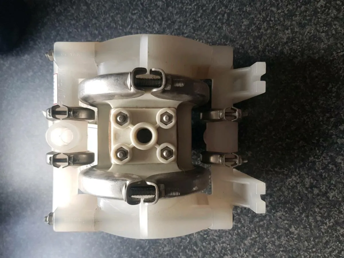 Wilden Pump MI/PT/TF/TF/PT - Image 2